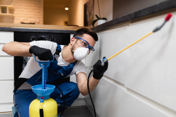 Best Pest Prevention Services  in Lathrop, CA