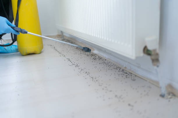 Best Pest Removal Services  in Lathrop, CA