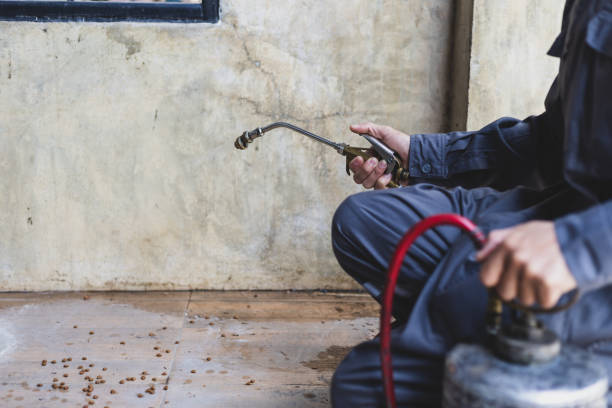 Best Local Pest Control Services  in Lathrop, CA